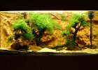 obri akvaria 0110